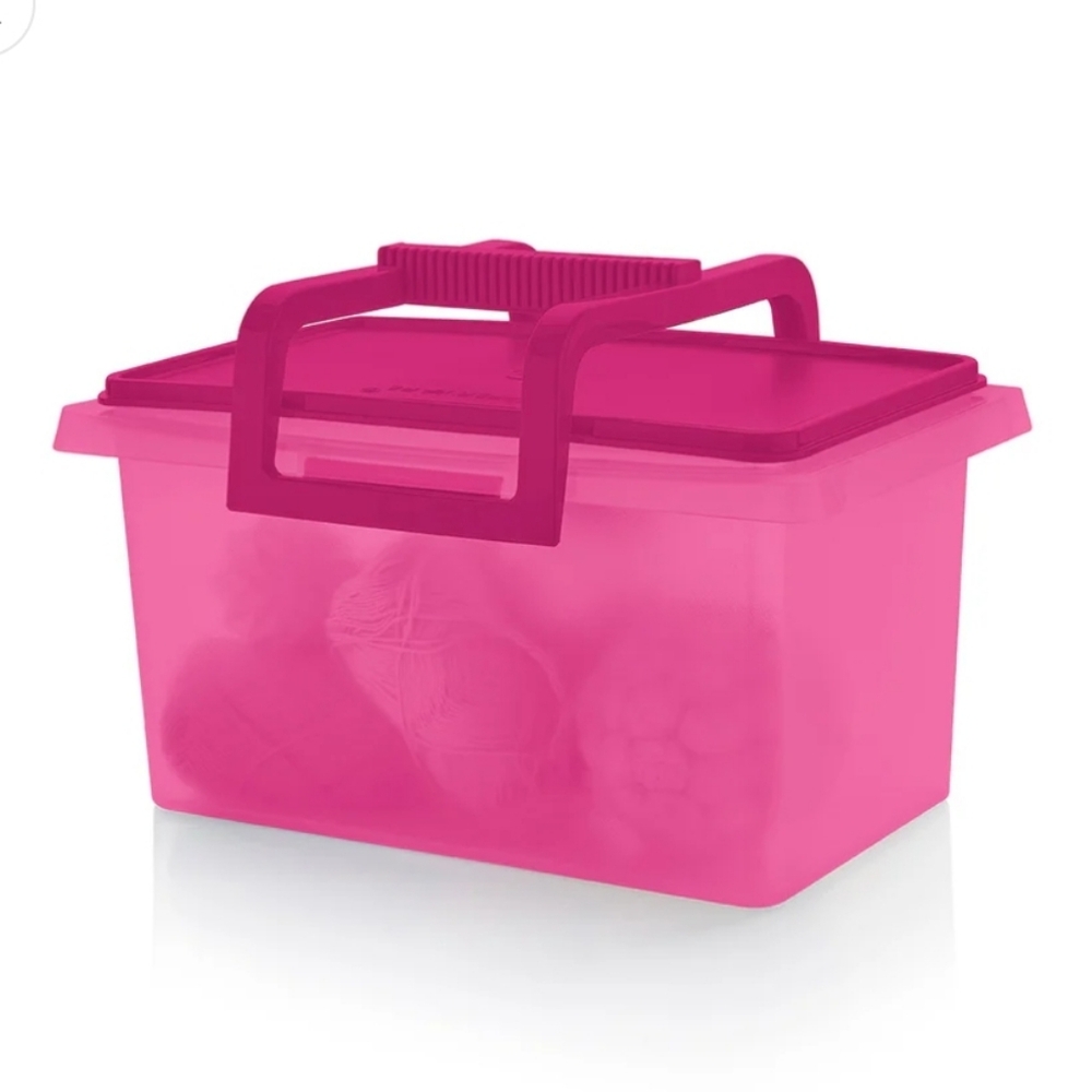 Tupperware Small Carry All Containor with handle New